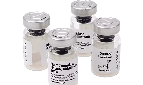 BD BBL™ Coagulase Plasma Rabbit 240658
